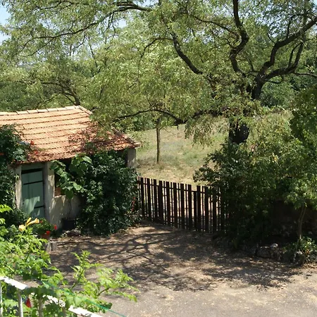 Cauvy Bed & Breakfast